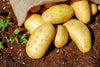 Can You Get Enough Nutrients On The Potato Diet?